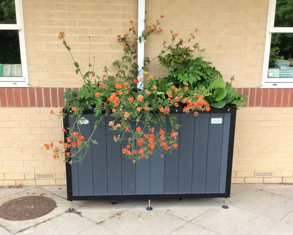 School Rainwater Planter